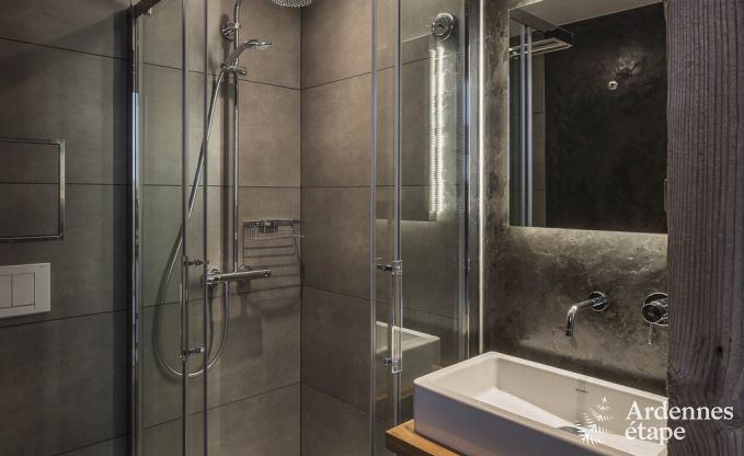 Villa de Luxe � Jalhay pour 14/15 personnes en Ardenne