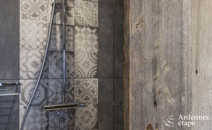 Villa de Luxe � Jalhay pour 14/15 personnes en Ardenne