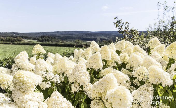 Villa de Luxe � Jalhay pour 14/15 personnes en Ardenne