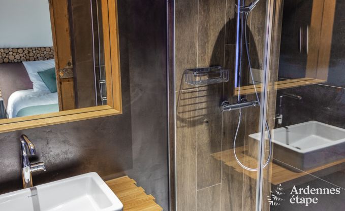 Villa de Luxe  Jalhay pour 14 personnes en Ardenne