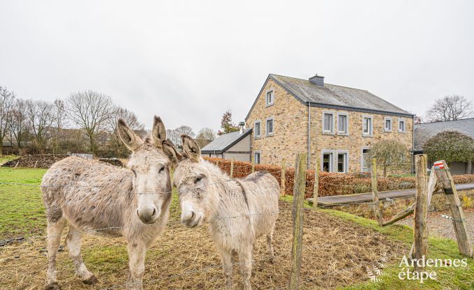 Gite de charme � La Roche-En-Ardenne pour 9 personnes en Ardenne