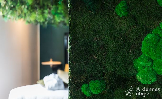 Maison de vacances  La Roche-en-Ardenne pour 2 personnes en Ardenne