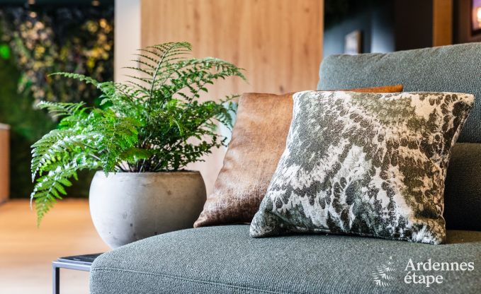 Maison de vacances  La Roche-en-Ardenne pour 2 personnes en Ardenne