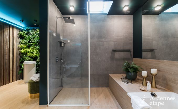 Maison de vacances  La Roche-en-Ardenne pour 2 personnes en Ardenne