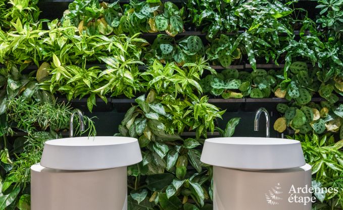 Maison de vacances  La Roche-en-Ardenne pour 2 personnes en Ardenne