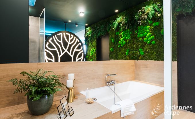 Maison de vacances  La Roche-en-Ardenne pour 2 personnes en Ardenne