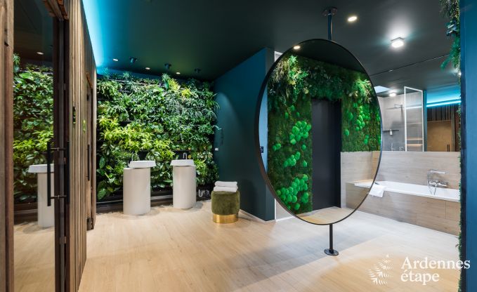 Maison de vacances  La Roche-en-Ardenne pour 2 personnes en Ardenne