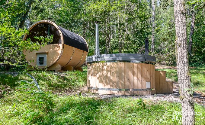 Villa de Luxe  La Roche-en-Ardenne pour 12/14 personnes en Ardenne