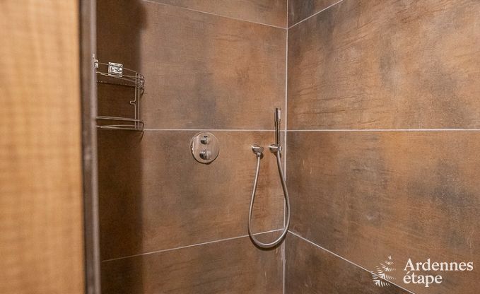 Villa de Luxe  La Roche-en-Ardenne pour 12/14 personnes en Ardenne