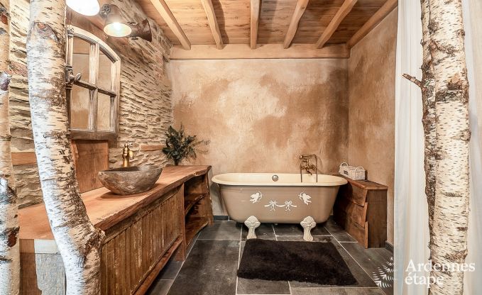 Villa de Luxe  La Roche-en-Ardenne pour 12/14 personnes en Ardenne