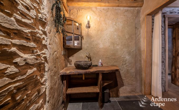 Villa de Luxe  La Roche-en-Ardenne pour 12/14 personnes en Ardenne