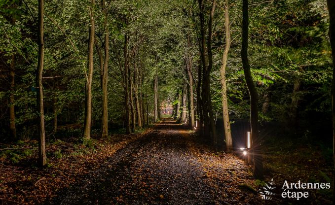 Villa de Luxe  La Roche-en-Ardenne pour 12/14 personnes en Ardenne