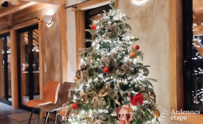 Villa de Luxe  La Roche-en-Ardenne pour 12/14 personnes en Ardenne