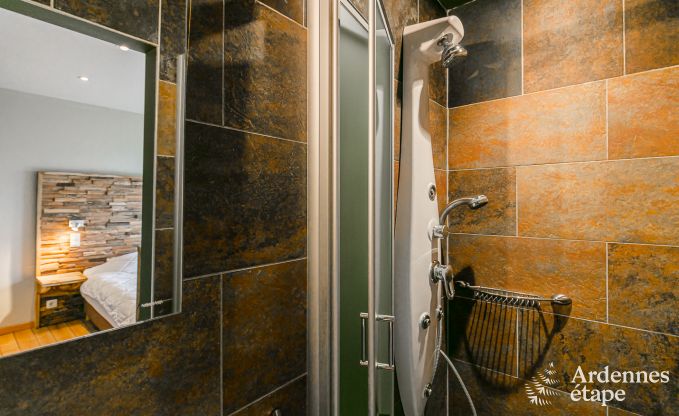 Villa de Luxe � La Roche en Ardenne pour 14/15 personnes en Ardenne