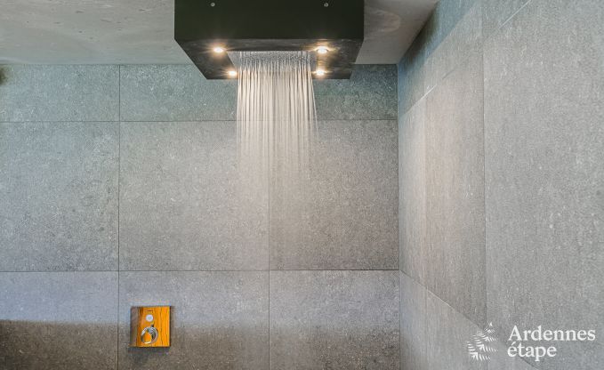 Villa de Luxe � La Roche en Ardenne pour 14/15 personnes en Ardenne