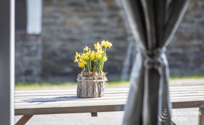 Maison de vacances  La Roche-en-Ardenne pour 4/6 personnes en Ardenne
