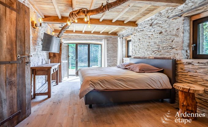 Villa de Luxe  La Roche-en-Ardenne pour 12/14 personnes en Ardenne