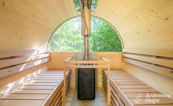 Villa de Luxe  La Roche-en-Ardenne pour 12/14 personnes en Ardenne