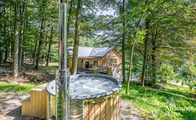 Villa de Luxe  La Roche-en-Ardenne pour 12/14 personnes en Ardenne