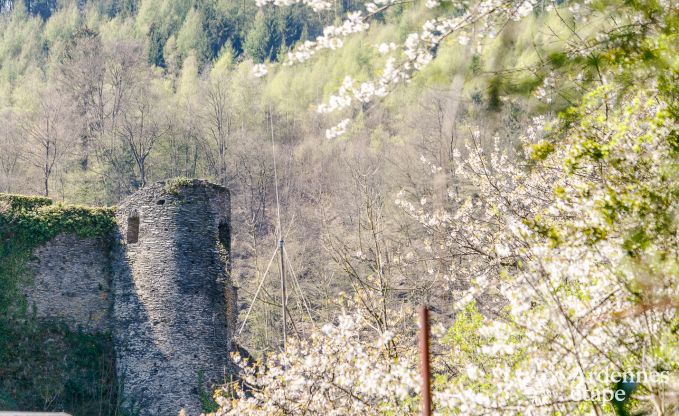 Maison de vacances � La Roche pour 5 personnes en Ardenne
