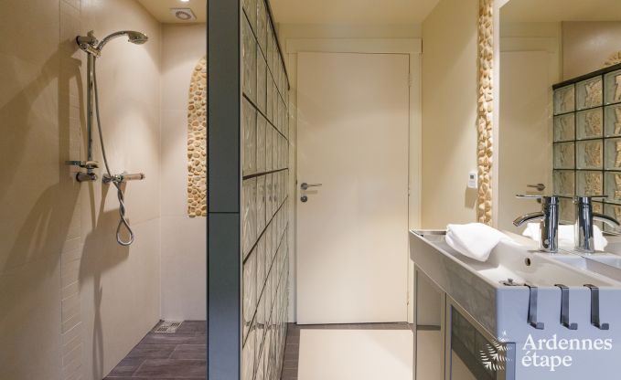 Villa de Luxe  La Roche pour 9 personnes en Ardenne