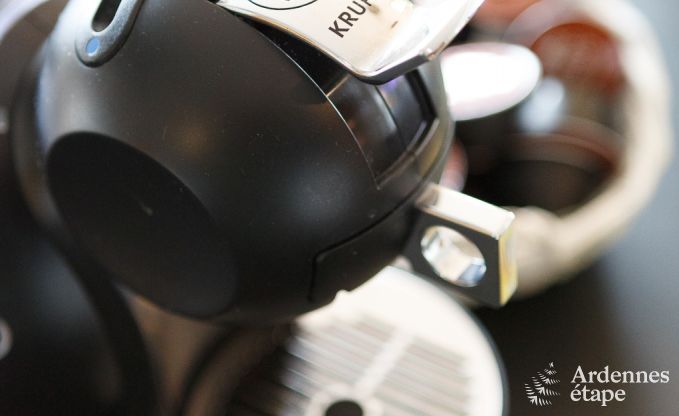 Villa de Luxe  La Roche pour 9 personnes en Ardenne