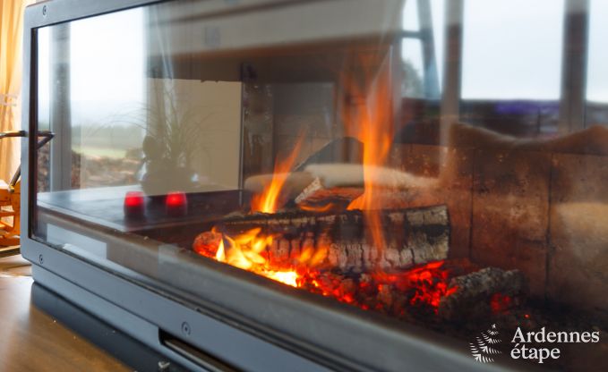 Villa de Luxe  La Roche pour 9 personnes en Ardenne