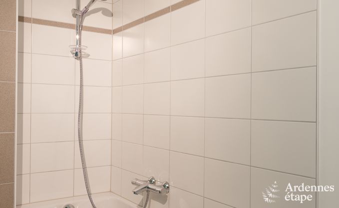 Villa de Luxe  La Roche pour 9 personnes en Ardenne