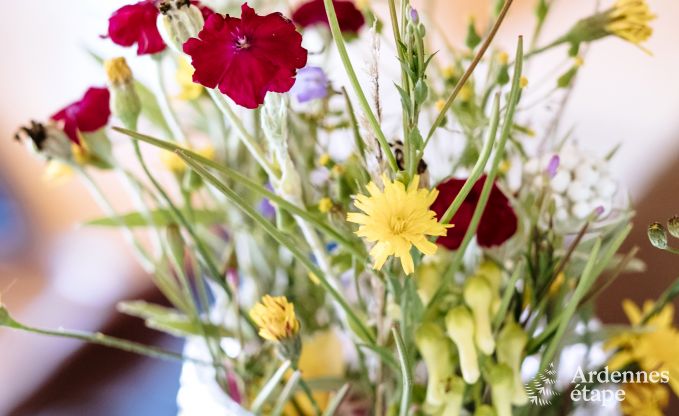 Maison de vacances � La Roche pour 9 personnes en Ardenne