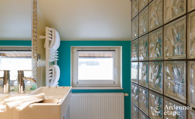 Villa de Luxe  La Roche pour 9 personnes en Ardenne