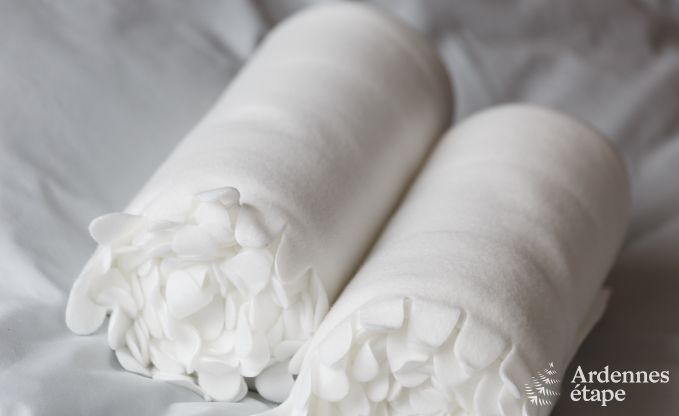 Villa de Luxe  La Roche pour 9 personnes en Ardenne