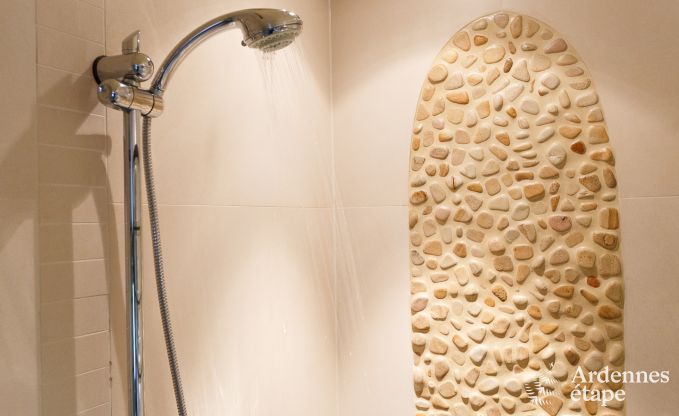 Villa de Luxe  La Roche pour 9 personnes en Ardenne