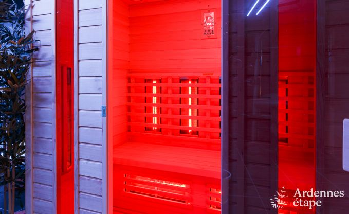 Villa de Luxe  La Roche pour 9 personnes en Ardenne