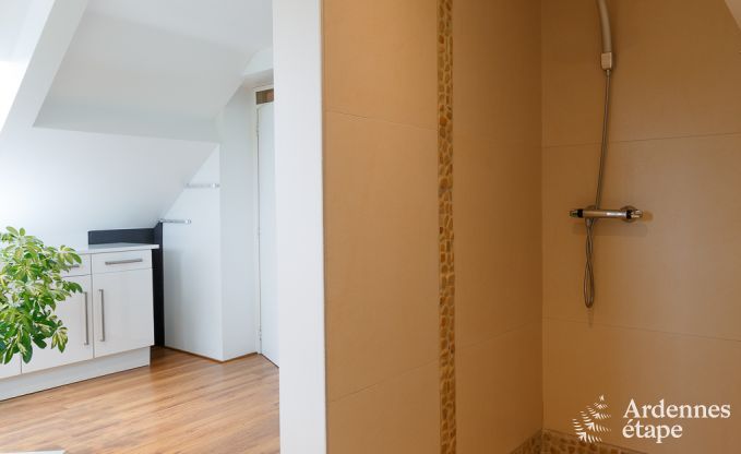 Villa de Luxe  La Roche pour 9 personnes en Ardenne