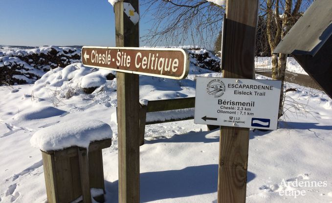 Villa de Luxe  La Roche pour 9 personnes en Ardenne