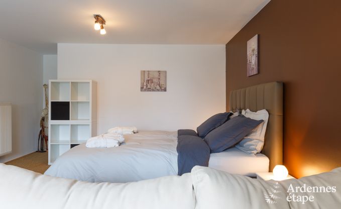 Villa de Luxe  La Roche pour 9 personnes en Ardenne