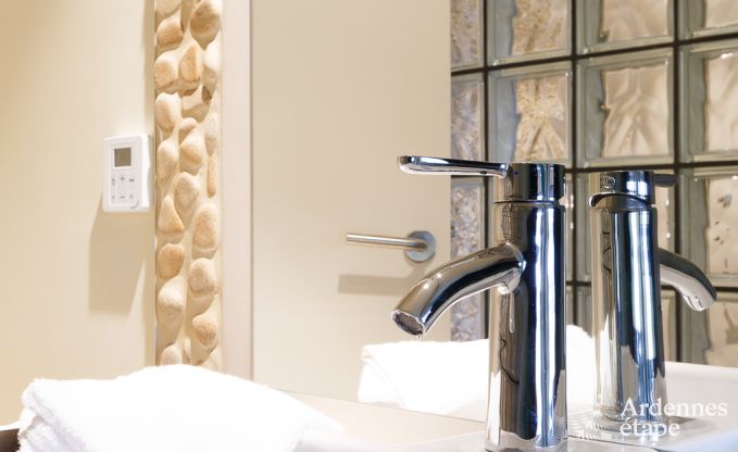 Villa de Luxe  La Roche pour 9 personnes en Ardenne