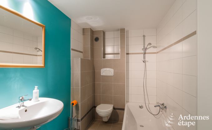 Villa de Luxe  La Roche pour 9 personnes en Ardenne