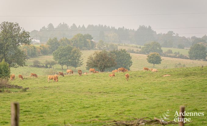 Charmante tiny house pour 4 personnes  Lglise avec kitchenette, poele  pellets et jardin priv