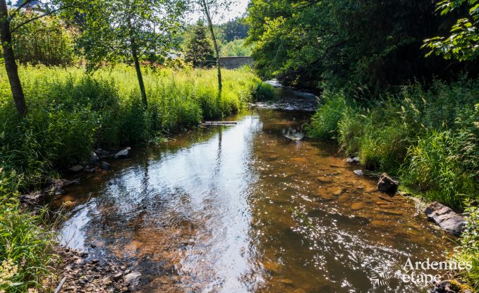 Ch�teau � Libin : s�jour �l�gant pour 40 personnes avec des �quipements �tendus