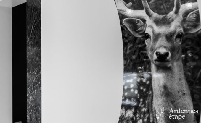 Maison de vacances  Libin pour 11/14 personnes en Ardenne