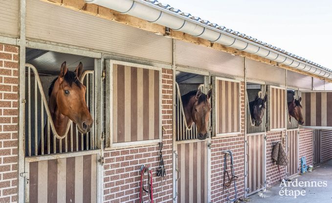 Maison de vacances  Libramont pour 4/6 personnes en Ardenne