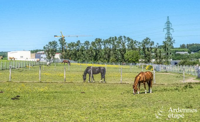 Maison de vacances  Libramont pour 4/6 personnes en Ardenne
