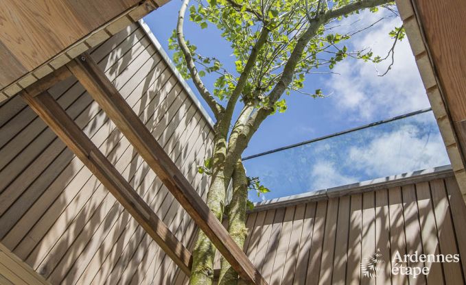 Maison de vacances pour 15 personnes � Libramont avec piscine int�rieure, sauna et jardin priv� au bord de l'eau