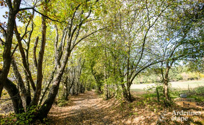 Chalet � Lierneux pour 4/5 personnes en Ardenne