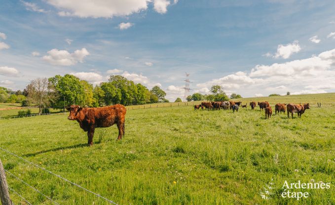 Maison de vacances  Lierneux pour 15 personnes en Ardenne