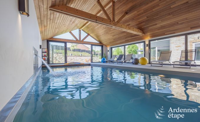 Luxueuse maison de vacances pour groupes avec piscine à Limbourg