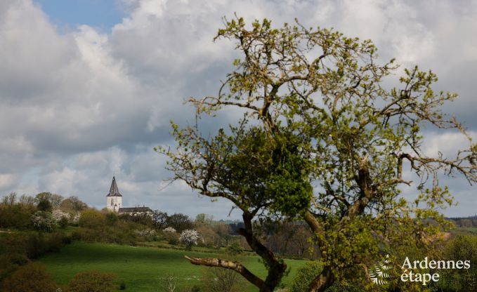 Villa de vacances confortable pour 14  Limbourg, Ardenne