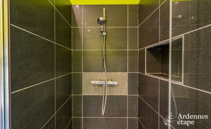 Maison de vacances  Lompret pour 10 personnes en Ardenne