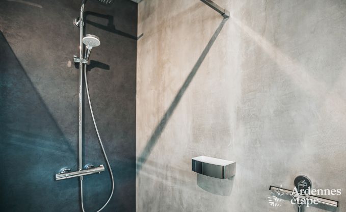 Gite de charme  Malmedy (Bellevaux) pour 9 personnes en Ardenne